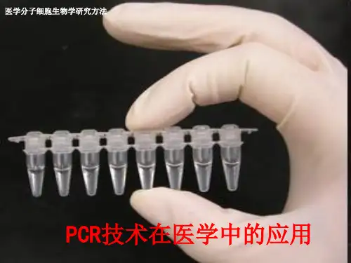 PCR技术及其应用ppt课件