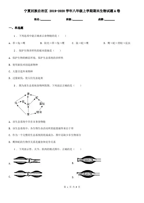 宁夏回族自治区 2019-2020学年八年级上学期期末生物试题A卷
