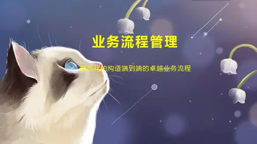 业务流程管理 