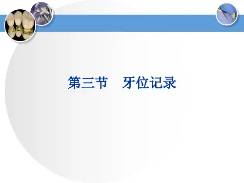 牙体解剖生理 牙位记录 牙位记录
