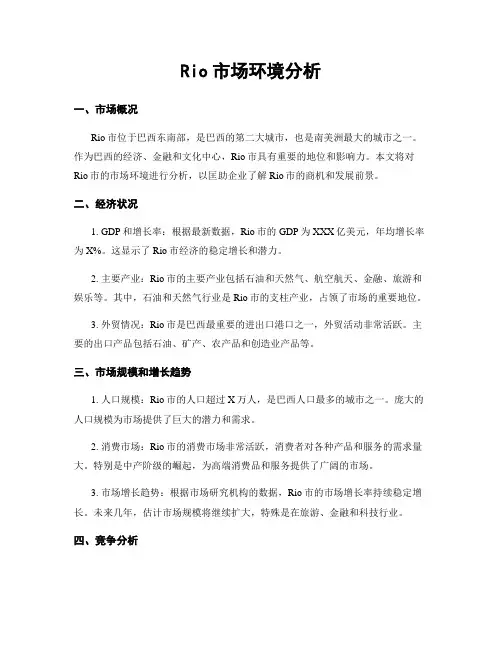 Rio市场环境分析