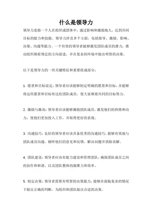什么是领导力