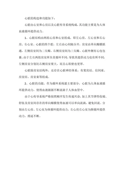 心脏的构造和功能