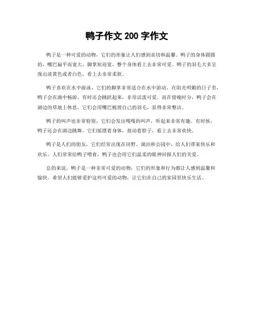 鸭子作文200字作文