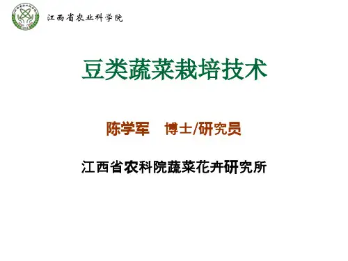 豆类蔬菜栽培技术