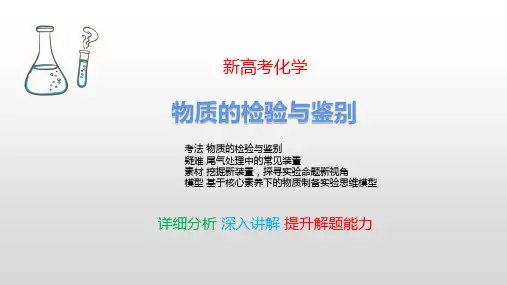物质的检验与鉴别 新高考化学 考点详细分析 深入讲解 提升解题能力 化学高考必看 最新版