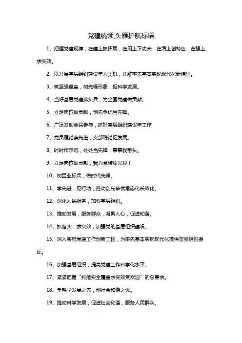 党建统领,头雁护航标语