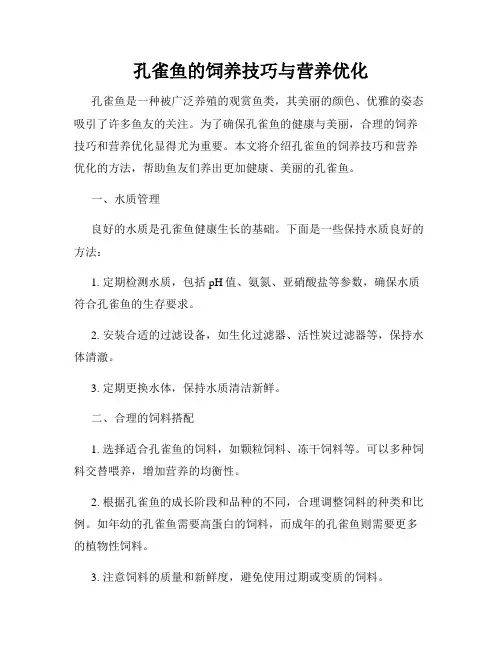 孔雀鱼的饲养技巧与营养优化
