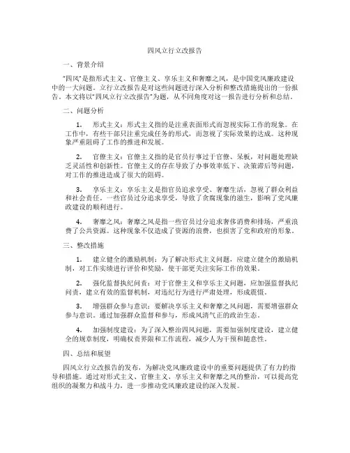 四风立行立改报告