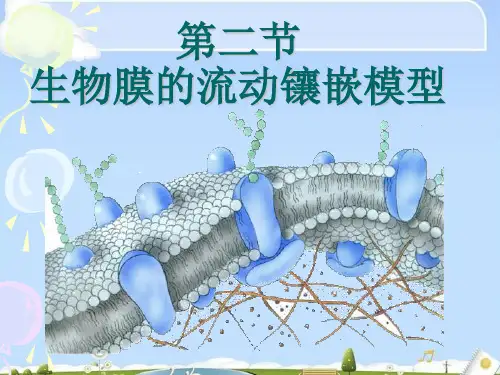 4.2生物膜的流动镶嵌模型(共46张PPT)