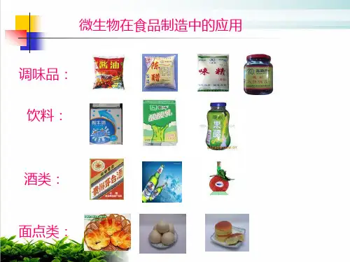 食品微生物学食品制造中的主要微生物及其应用PPT课件
