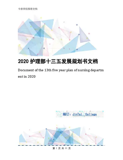 2020护理部十三五发展规划书文档