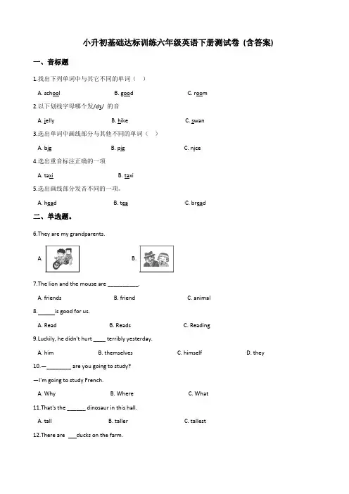 六年级下册英语试题--小升初基础达标训练(精选试卷)北京课改版 (含答案)