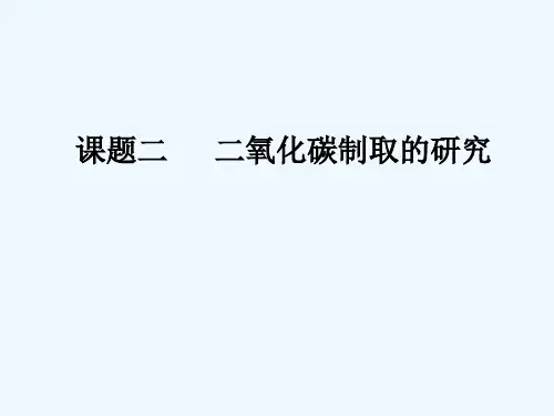 人教版二氧化碳制取的研究(14)