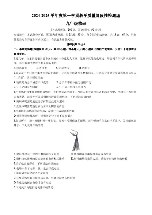 山东省青岛市胶州市2024-2025学年九年级上学期期中考试物理试题(含答案)