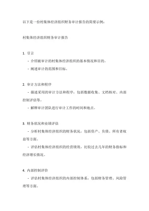 村集体经济组织财务审计报告