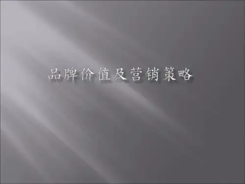 产品价值及营销策略.ppt
