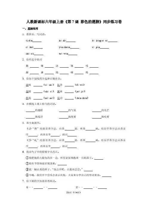 人教新课标六年级(上)《第7课 彩色的翅膀》同步练习卷