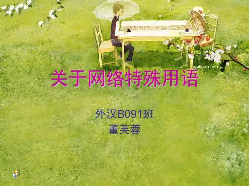 关于网络特殊用语