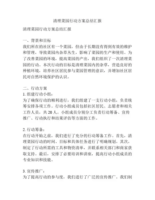 清理菜园行动方案总结汇报