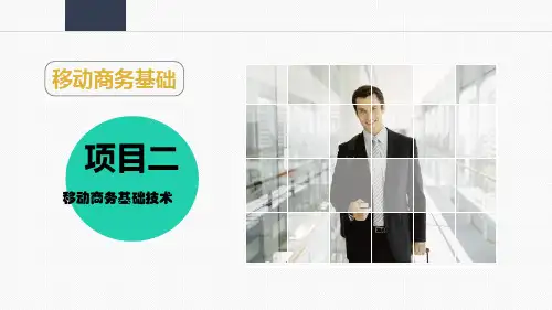 移动智能终端及APP