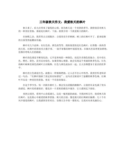 三年级秋天作文：我爱秋天的枫叶