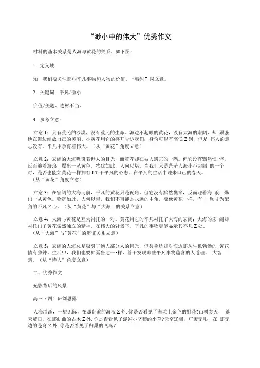 “渺小中的伟大”优秀作文.doc