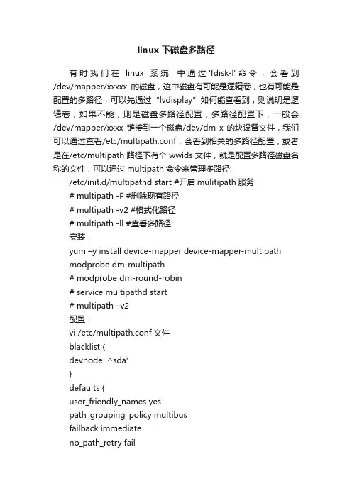 linux下磁盘多路径
