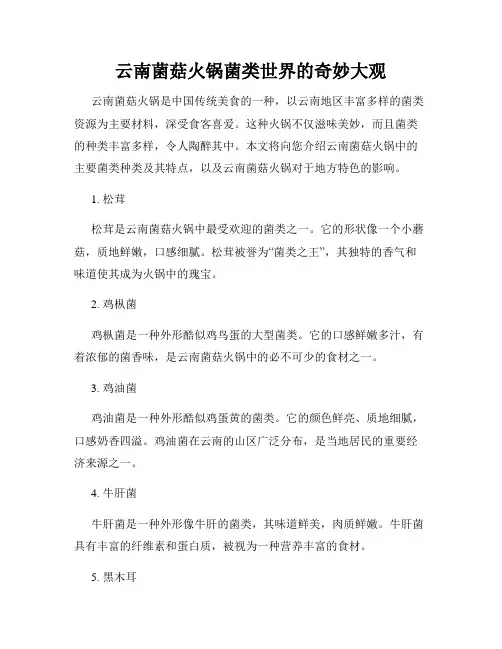 云南菌菇火锅菌类世界的奇妙大观
