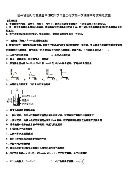 贵州省贵阳市普通高中2024学年高二化学第一学期期末考试模拟试题含解析