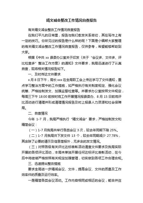 有关精文减会整改工作情况自查报告