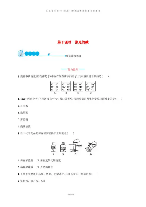 九年级化学下册 第十单元 酸和碱 10.1 常见的酸和碱 第2课时 常见的碱练习