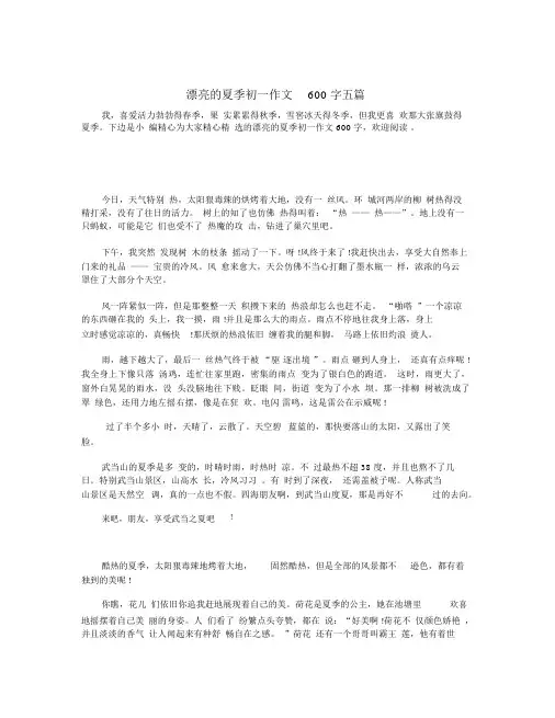 美丽的夏天初一作文600字五篇