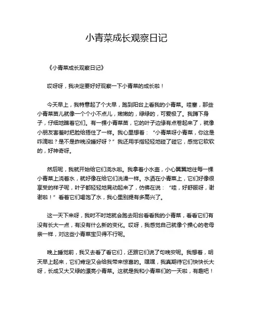 小青菜成长观察日记