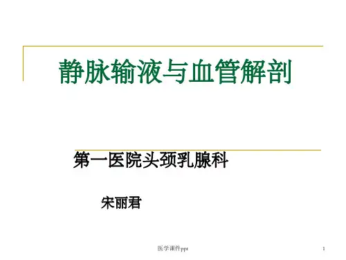 静脉输液与血管解剖