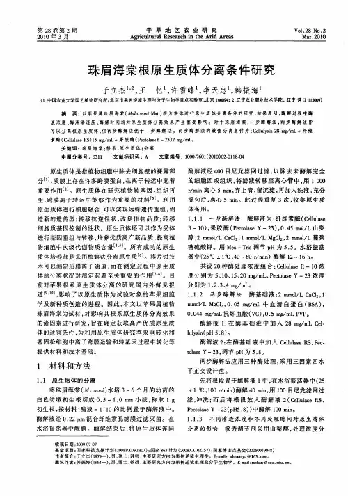 珠眉海棠根原生质体分离条件研究