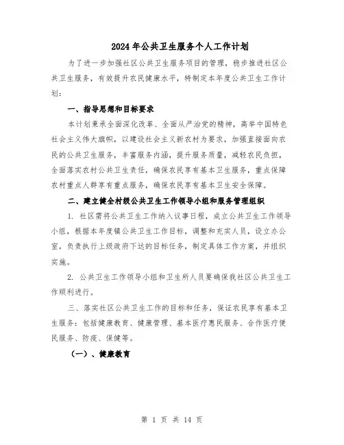 2024年公共卫生服务个人工作计划（6篇）