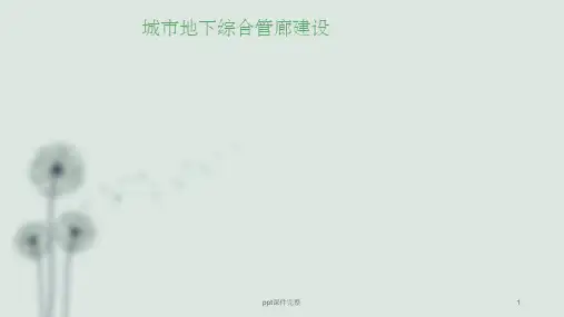 城市地下综合管廊建设PPT课件