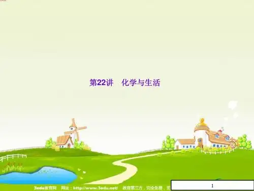 中考化学复习课件 化学与生活