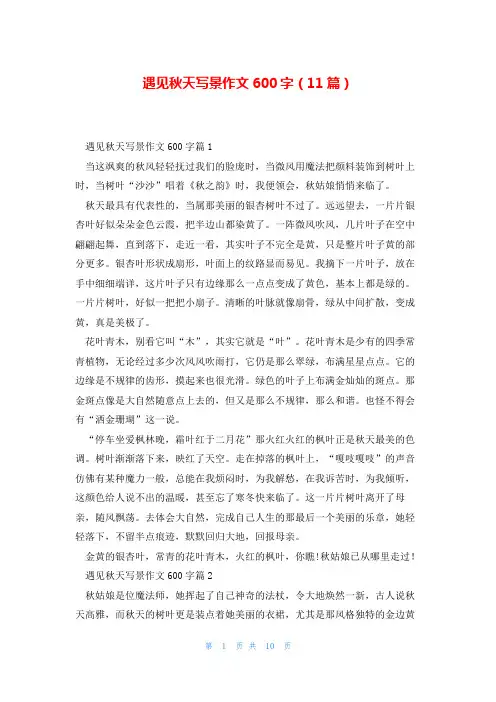 遇见秋天写景作文600字(11篇)