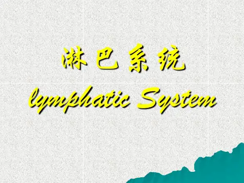 淋巴系统PPT教学课件