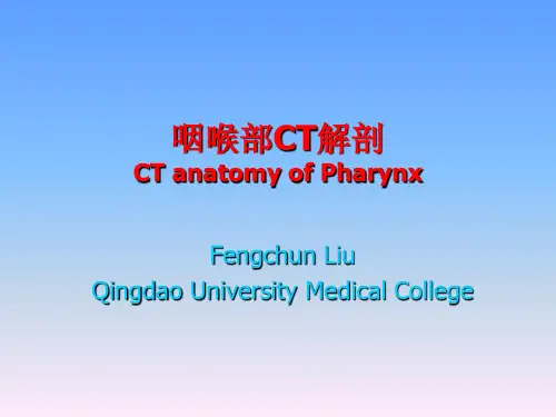 咽喉部CT解剖