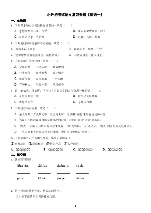 小升初考试语文复习专题《词语1》练习及答案
