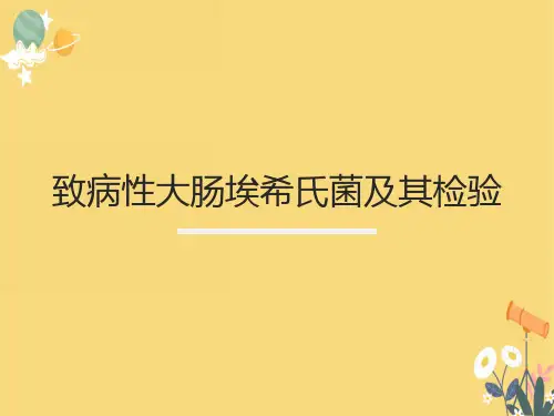 致病性大肠埃希氏菌及其检验
