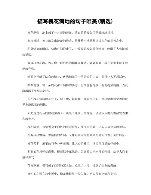 描写槐花满地的句子唯美(精选100句)