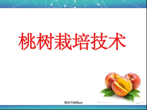 桃树栽培技术