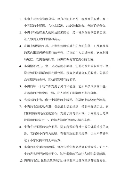 描写小狗的优美句子(4)