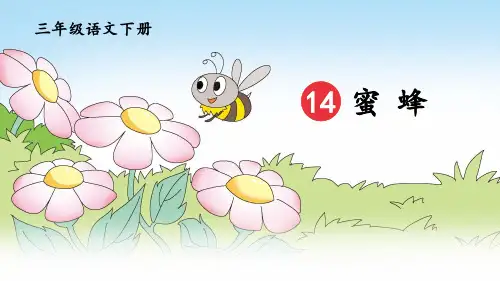 部编版三年级语文下册第14课《蜜蜂》优秀课件【最新】
