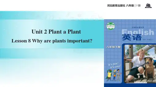 初中冀教版英语八年级下册【教学课件】Unit 2 Lesson 8