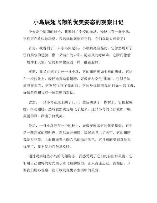 小学三年级作文小鸟展翅飞翔的优美姿态的观察日记